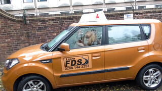 Fake Driving School - Louise Lee kedveli a méretes pöcst