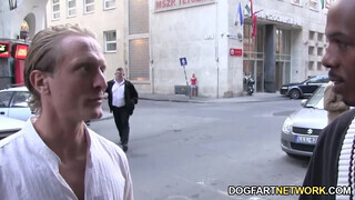 Nesty a cafka magyar bige